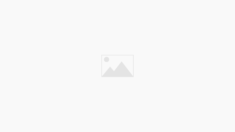 하네스(Harness)란 무엇인가